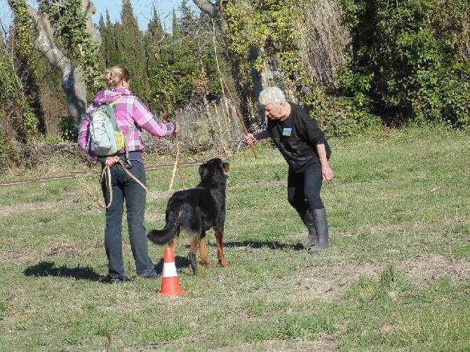 internationale de tarbes 2014