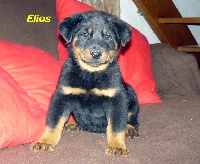 ELIOS de la 